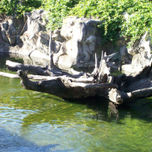 Bajo el agua-Sobre el agua thumbnail 2