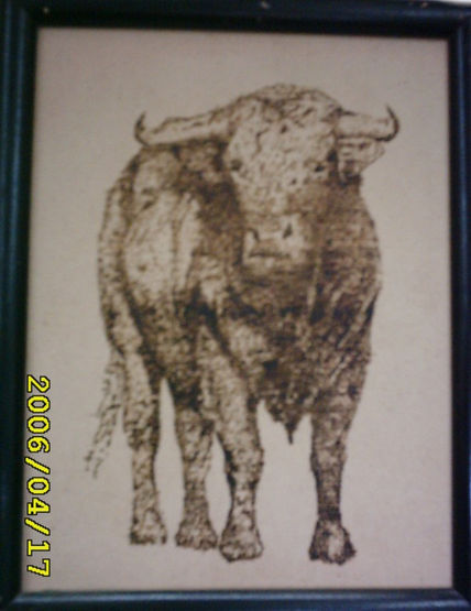Toro de lidia