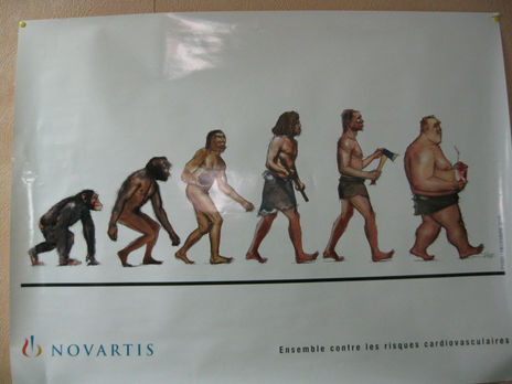 La evoluccion del...