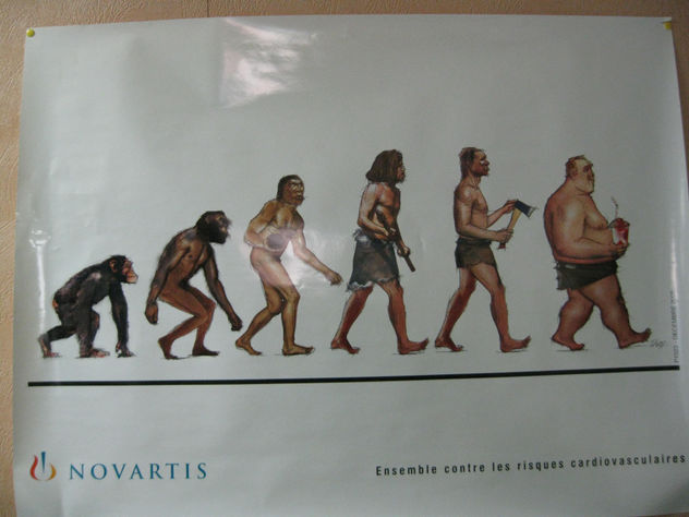La evoluccion del ser humano
