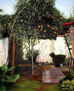 El jardin de mis abuelos