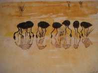 flamencos