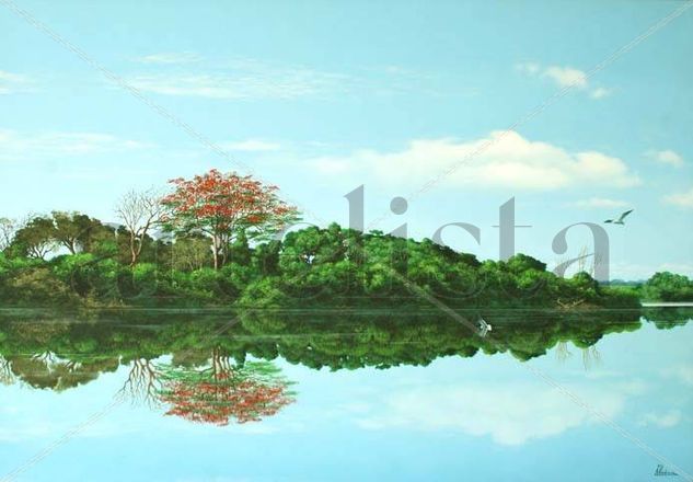 ´´laguna con flamboyan´´ Oil Canvas Landscaping