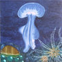 Cyanocea