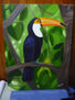 TUCAN EN LA SELVA