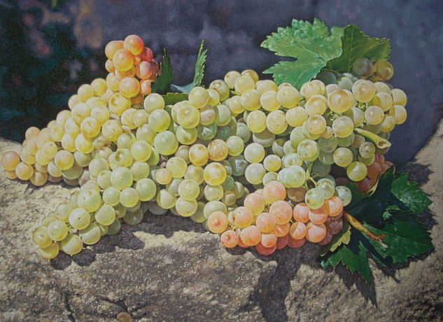 UVAS 