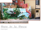 Muro de la Mosca