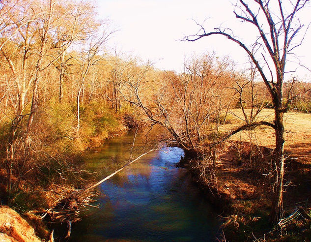 RIO DE  CONYERS.GEORGIA Nature Color (Digital)