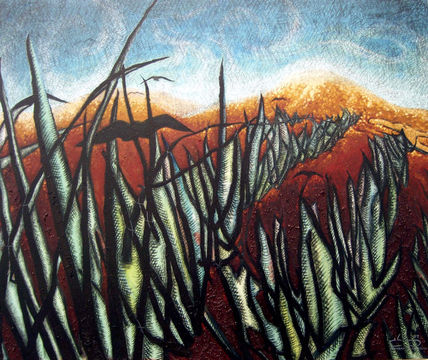 Campo de Agave con...