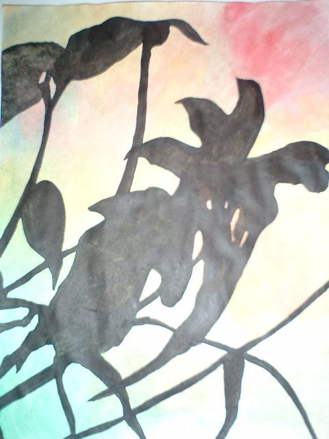 COLECCION PARTICULAR