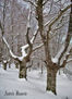 Nieve en otoño