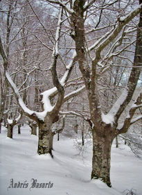 Nieve en otoño