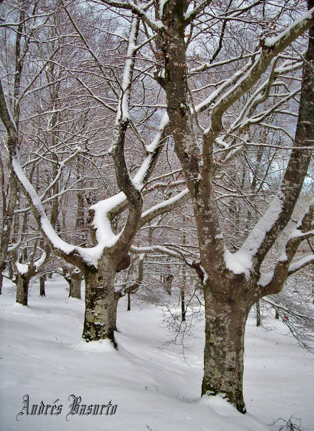 Nieve en otoño