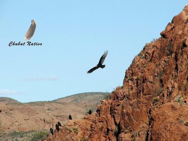 Vigilante Vuelo. 