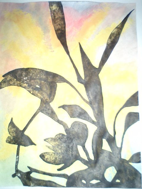 COLECCION PARTICULAR