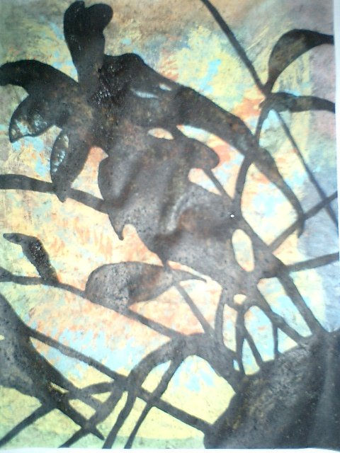 COLECCION PARTICULAR