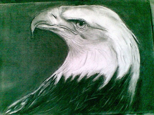 Águila de ojo biónico Charcoal