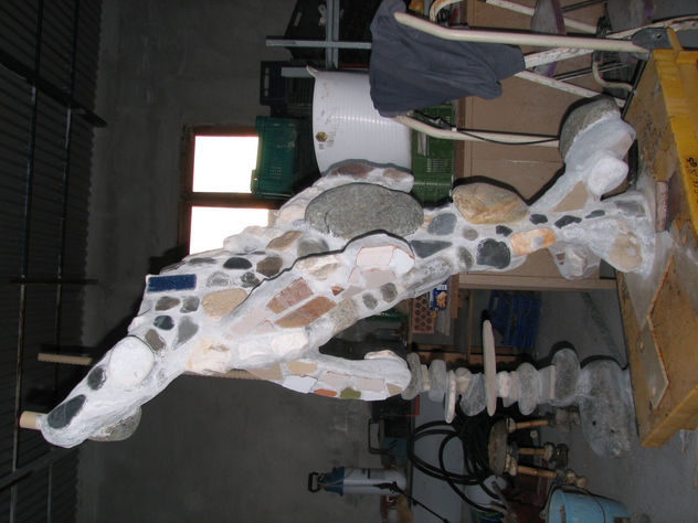 delfin lampara