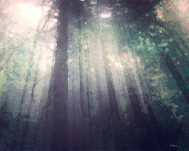 luz en el bosque