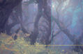 bosque 3