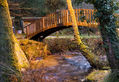 Parque natural Gallego de Barosa