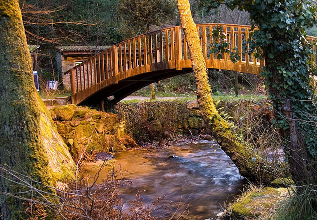 Parque natural Gallego de Barosa Naturaleza Color (Digital)