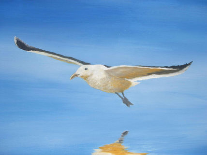 Vuelo