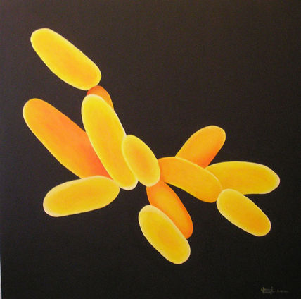 Ciclo xiv