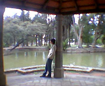 Observando venecia