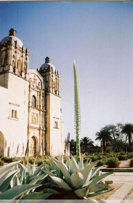Santo domingo2