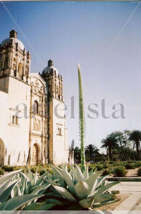 Santo domingo2