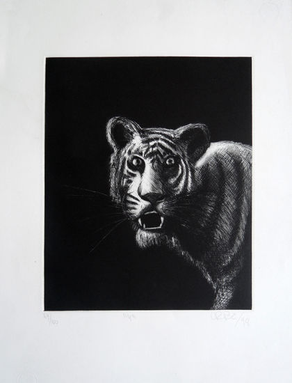 Tigre Etching Process