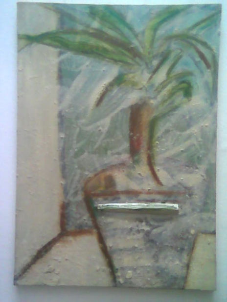 Maceta