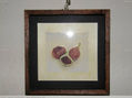 frutas acuarela 4
