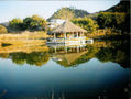 REFLEJO