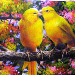 aves de mi tierra thumbnail 1