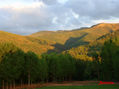 Dehesas de El Bierzo