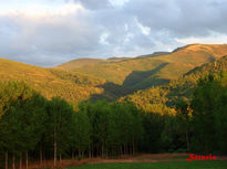 Dehesas de El Bierzo