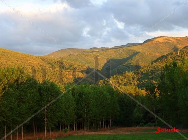 Dehesas de El Bierzo