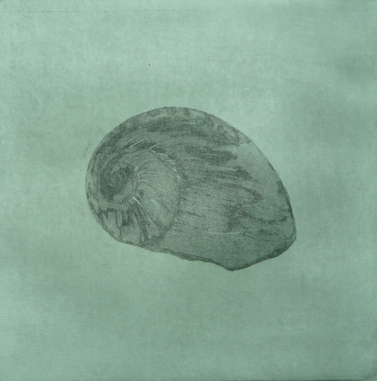 Escargot Aquatint