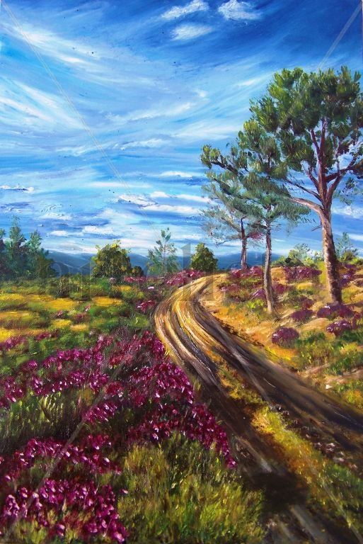 Lagunilla, camino de El Pizarral