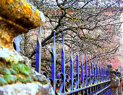 Lanzas azules