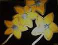 FLORES DORADAS
