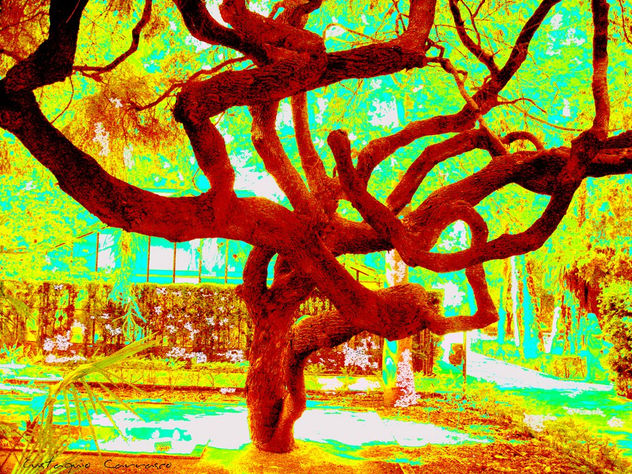 El árbol de los sentimientos