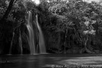 Cascada Tamasopo