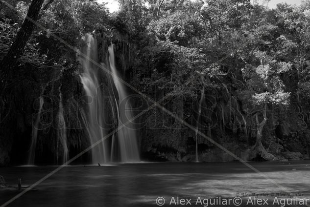 Cascada Tamasopo 