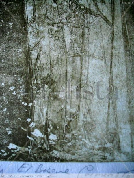 El bosque