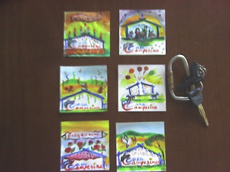 Miniprins
