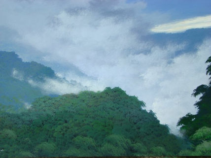 6."temprana elevacion"