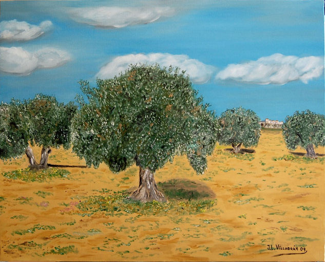 Olivos en verano Oil Canvas Landscaping